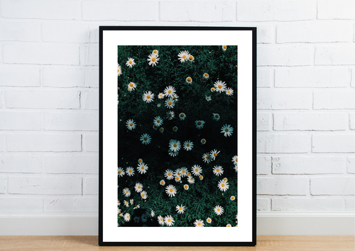 Wildflower Art Print - Nature-Inspired Home Decor - Flower Posters(Print Only) - Art. 30009