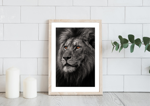 The Wild King Lion Wall Art Print (Print Only) - Art. 30010