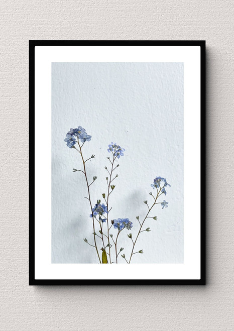 Flower Artwork / Wall Art