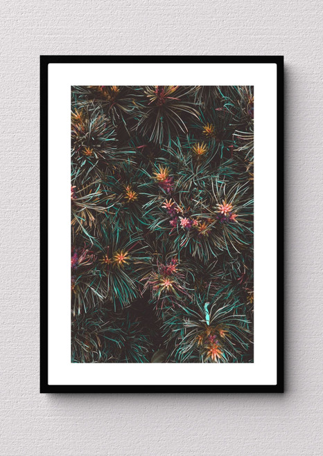 Flower Artwork / Wall Art