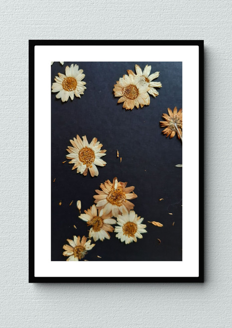 Flower Artwork / Wall Art