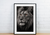 The Wild King Lion Wall Art Print (Print Only) - Art. 30010