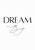 Dream Big Artwork/ Wall Art