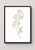 Flower Artwork / Wall Art