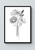 Flower Artwork / Wall Art