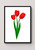 Flower Artwork / Wall Art