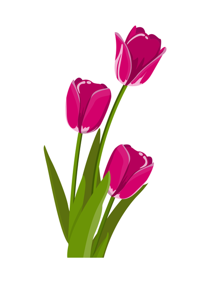 Wildflower Art Print - Nature-Inspired Home Decor - Flower Posters - Wall Art Print (Print Only) - Art. 30007