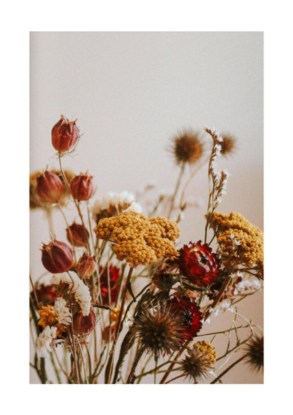 Flower Artwork / Wall Art