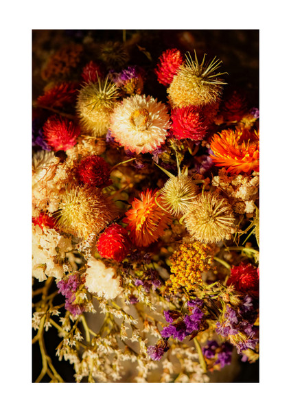 Flower Artwork / Wall Art