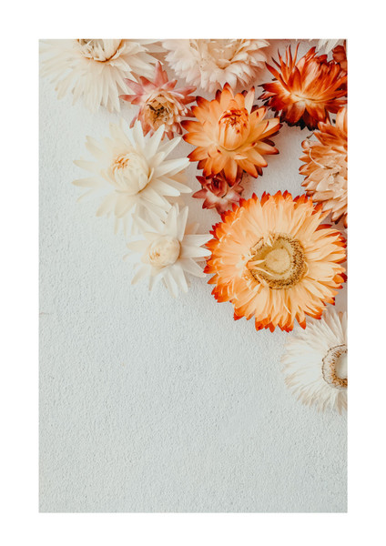 Flower Artwork / Wall Art