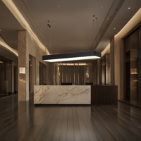 Radius Dörtgen Davul Linear Aydınlatma