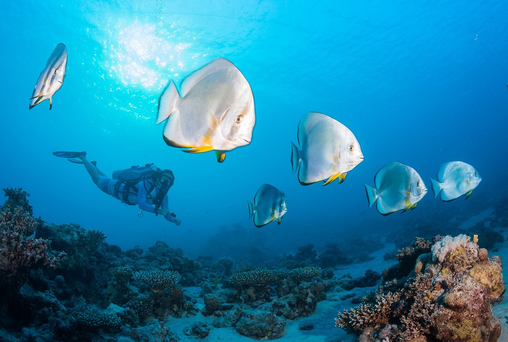 GUE Discover Diving
