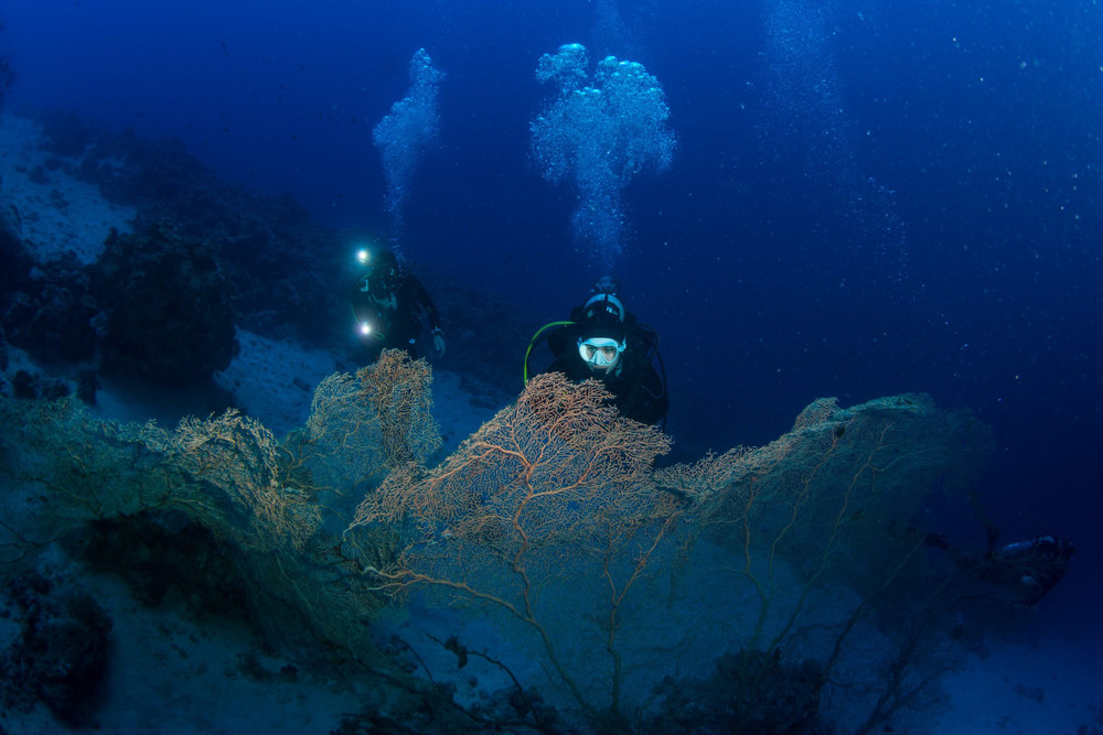 NAUI Underwater Naturalist Diver