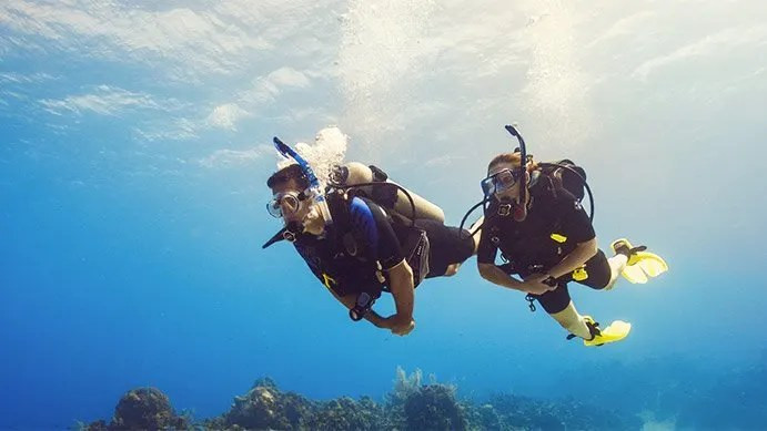 PADI PADI Scuba Diver