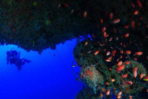 IANTD Technical Dive Supervisor