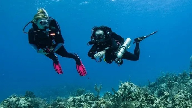 PADI Rebreather Diver