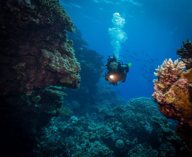 NAUI Night & Limited Visibility Diver