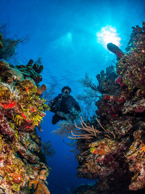 NAUI Master Scuba Diver