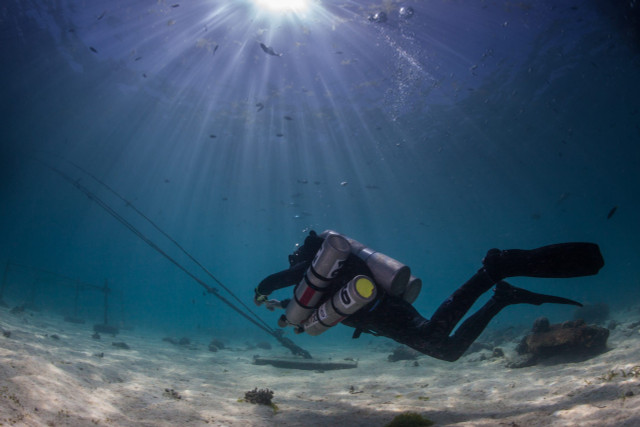 NAUI Technical Decompression Diver