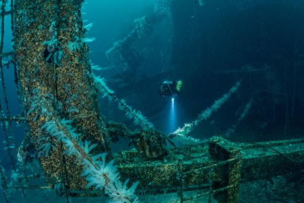 IANTD Limited Wreck Diver