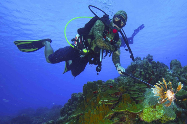 NAUI Underwater Hunting & Collector