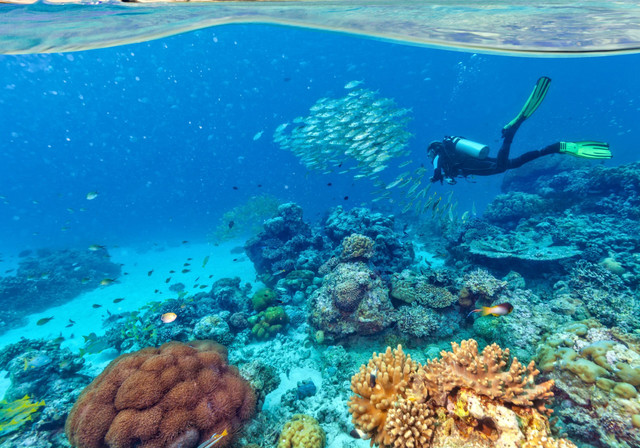 NAUI Open Water Scuba Diver