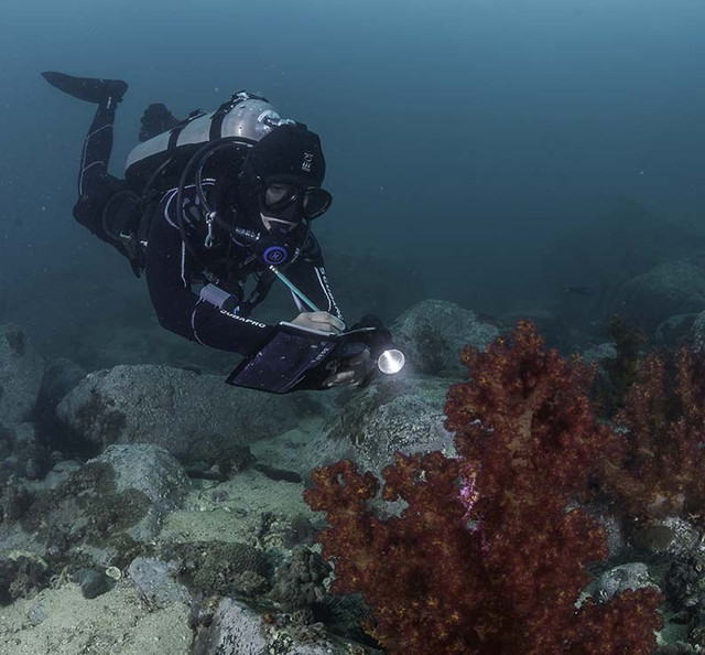 GUE Scientific Diver