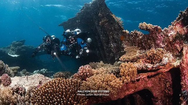 PADI Tec 40