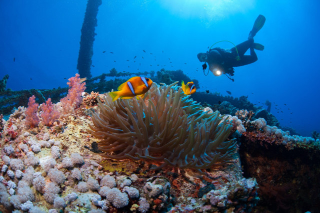 NAUI Advanced Open Water Scuba Diver