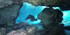NSS-CDS Single Tank Cavern Diver