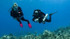 PADI Rebreather Diver