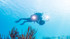 PADI Underwater Photographer