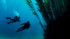 PADI Deep Diver