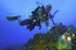 NAUI Underwater Hunting & Collector