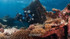PADI Tec 40