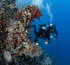 GUE Performance Diver