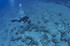 NAUI Underwater Archaeology