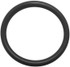 Halcyon Scout Light O-Ring