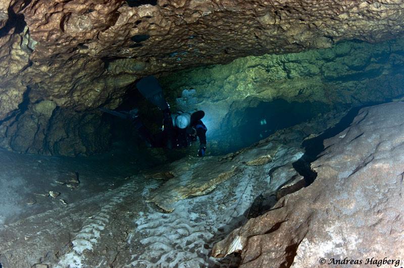 Indian Springs &ndash; Wakulla Room