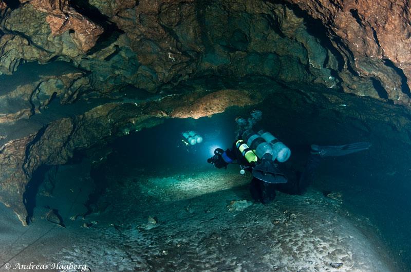 Alachua Sink: Florida's Hydrological Gem & Cave Diving Site