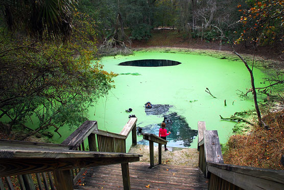 Catfish Hotel, Manatee Springs