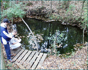 cheryl1.jpg cheryl1.jpg