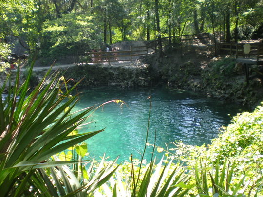 Headspring, Manatee Springs