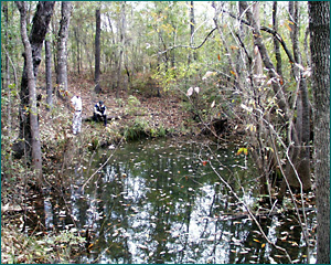 sullivan3.jpg sullivan3.jpg