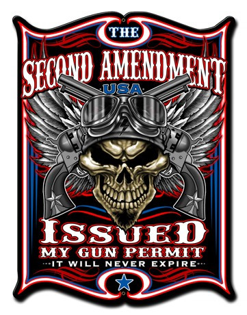 2ND AMENDMENT ISSUES Metal Wall Sign (14X19)