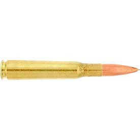 50 CAL Bullet Pen