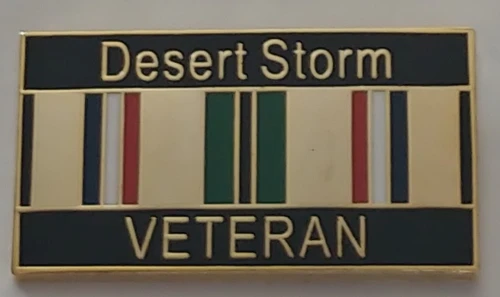Desert Storm Veteran Pin