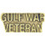 Gulf War Veteran pin