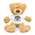 Airborne Wings Teddy bear with a t-shirt