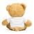 1-504 PIR Teddy bear with a t-shirt